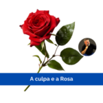 A culpa e a rosa